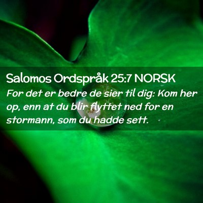 Picture 02 - Salomos Ordspråk 25:7 NORSK - For det er bedre de sier til dig: Kom her op, enn - Bible Verse Picture