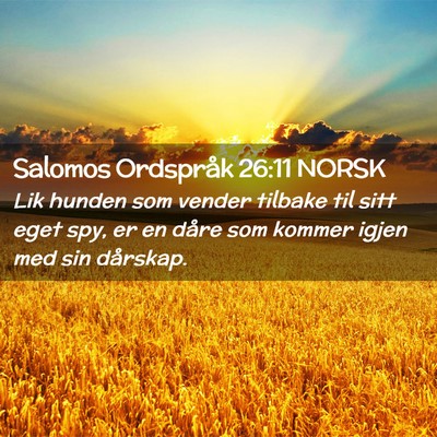 Picture 02 - Salomos Ordspråk 26:11 NORSK - Lik hunden som vender tilbake til sitt eget spy, - Bible Verse Picture