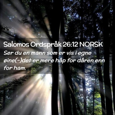 Picture 02 - Salomos Ordspråk 26:12 NORSK - Ser du en mann som er vis i egne øine(-)det er - Bible Verse Picture