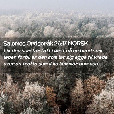 Picture 02 - Salomos Ordspråk 26:17 NORSK - Lik den som tar fatt i øret på en hund som - Bible Verse Picture