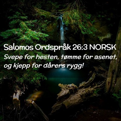 Picture 02 - Salomos Ordspråk 26:3 NORSK - Svepe for hesten, tømme for asenet, og kjepp for - Bible Verse Picture