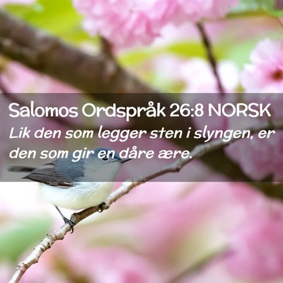 Picture 02 - Salomos Ordspråk 26:8 NORSK - Lik den som legger sten i slyngen, er den som gir - Bible Verse Picture