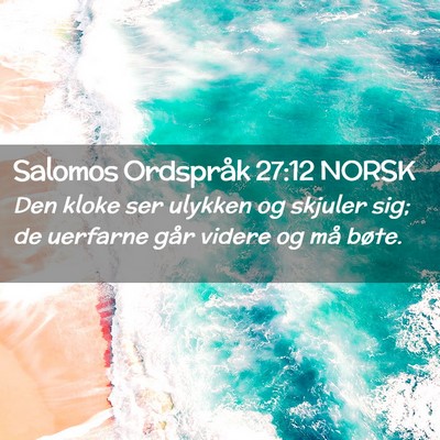Picture 02 - Salomos Ordspråk 27:12 NORSK - Den kloke ser ulykken og skjuler sig; de uerfarne - Bible Verse Picture