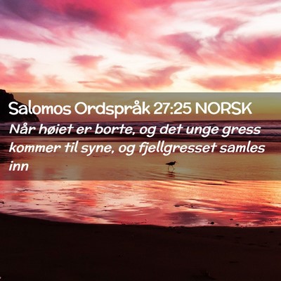 Picture 02 - Salomos Ordspråk 27:25 NORSK - Når høiet er borte, og det unge gress kommer - Bible Verse Picture