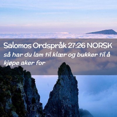 Picture 02 - Salomos Ordspråk 27:26 NORSK - så har du lam til klær og bukker til å kjøpe - Bible Verse Picture
