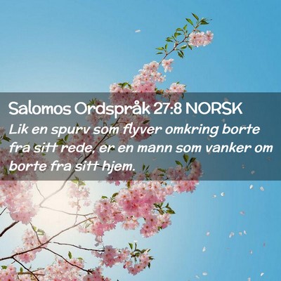 Picture 02 - Salomos Ordspråk 27:8 NORSK - Lik en spurv som flyver omkring borte fra sitt - Bible Verse Picture