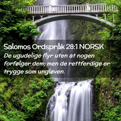 Picture 02 - Salomos Ordspråk 28:1 NORSK - De ugudelige flyr uten at nogen forfølger dem; - Bible Verse Picture