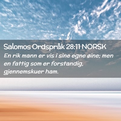 Picture 02 - Salomos Ordspråk 28:11 NORSK - En rik mann er vis i sine egne øine; men en - Bible Verse Picture