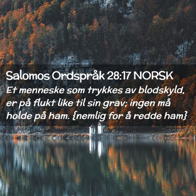 Picture 02 - Salomos Ordspråk 28:17 NORSK - Et menneske som trykkes av blodskyld, er på - Bible Verse Picture
