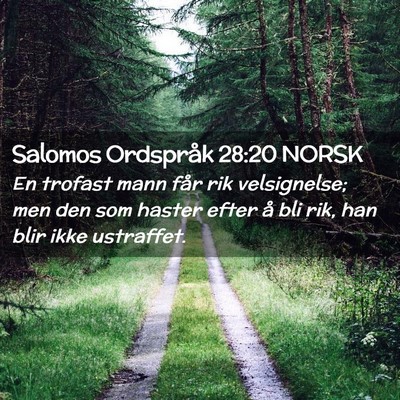 Picture 02 - Salomos Ordspråk 28:20 NORSK - En trofast mann får rik velsignelse; men den som - Bible Verse Picture