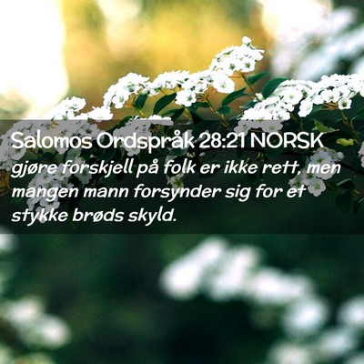 Picture 02 - Salomos Ordspråk 28:21 NORSK - gjøre forskjell på folk er ikke rett, men - Bible Verse Picture