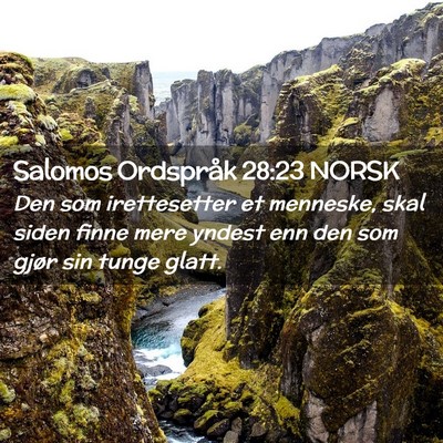 Picture 02 - Salomos Ordspråk 28:23 NORSK - Den som irettesetter et menneske, skal siden - Bible Verse Picture