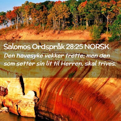 Picture 02 - Salomos Ordspråk 28:25 NORSK - Den havesyke vekker trette; men den som setter - Bible Verse Picture