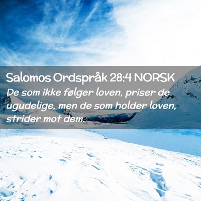 Picture 02 - Salomos Ordspråk 28:4 NORSK - De som ikke følger loven, priser de ugudelige, - Bible Verse Picture