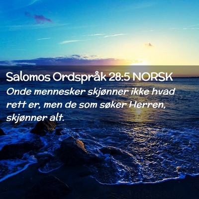 Picture 02 - Salomos Ordspråk 28:5 NORSK - Onde mennesker skjønner ikke hvad rett er, men - Bible Verse Picture