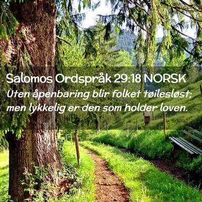 Picture 02 - Salomos Ordspråk 29:18 NORSK - Uten åpenbaring blir folket tøilesløst; men - Bible Verse Picture