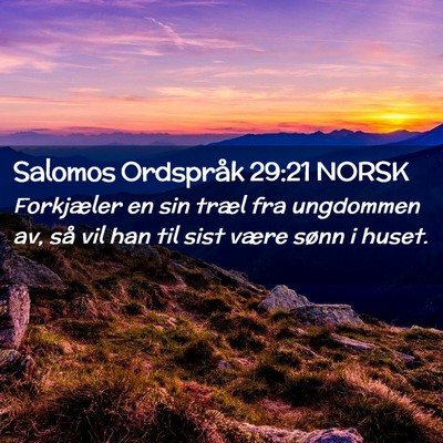 Picture 02 - Salomos Ordspråk 29:21 NORSK - Forkjæler en sin træl fra ungdommen av, så vil - Bible Verse Picture