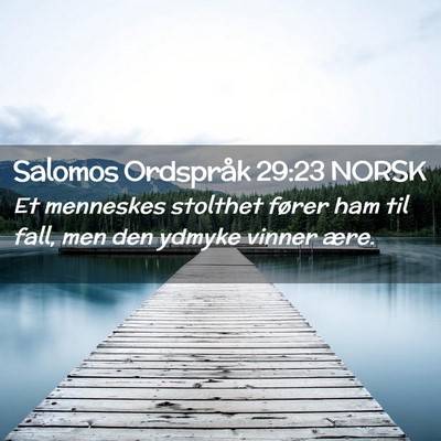 Picture 02 - Salomos Ordspråk 29:23 NORSK - Et menneskes stolthet fører ham til fall, men - Bible Verse Picture