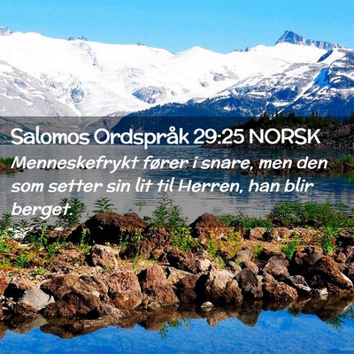 Picture 02 - Salomos Ordspråk 29:25 NORSK - Menneskefrykt fører i snare, men den som setter - Bible Verse Picture