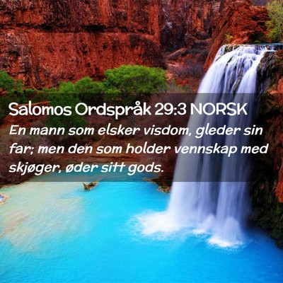 Picture 02 - Salomos Ordspråk 29:3 NORSK - En mann som elsker visdom, gleder sin far; men - Bible Verse Picture