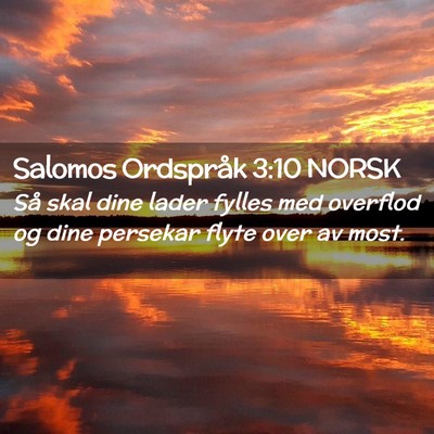 Picture 02 - Salomos Ordspråk 3:10 NORSK - Så skal dine lader fylles med overflod og dine - Bible Verse Picture