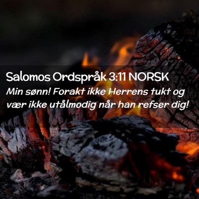 Picture 02 - Salomos Ordspråk 3:11 NORSK - Min sønn! Forakt ikke Herrens tukt og vær ikke - Bible Verse Picture