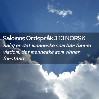 Picture 02 - Salomos Ordspråk 3:13 NORSK - Salig er det menneske som har funnet visdom, det - Bible Verse Picture