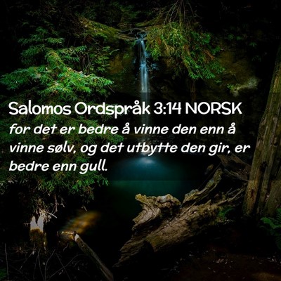 Picture 02 - Salomos Ordspråk 3:14 NORSK - for det er bedre å vinne den enn å vinne sølv, - Bible Verse Picture