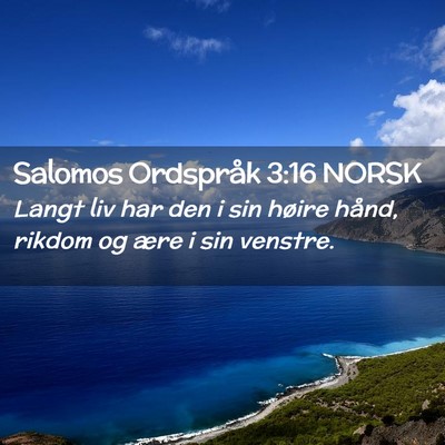 Picture 02 - Salomos Ordspråk 3:16 NORSK - Langt liv har den i sin høire hånd, rikdom og - Bible Verse Picture