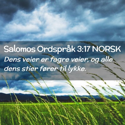 Picture 02 - Salomos Ordspråk 3:17 NORSK - Dens veier er fagre veier, og alle dens stier - Bible Verse Picture