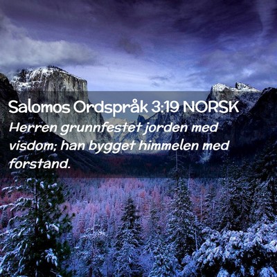 Picture 02 - Salomos Ordspråk 3:19 NORSK - Herren grunnfestet jorden med visdom; han bygget - Bible Verse Picture