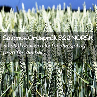 Picture 02 - Salomos Ordspråk 3:22 NORSK - Så skal de være liv for din sjel og pryd for - Bible Verse Picture
