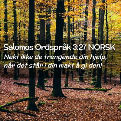 Picture 02 - Salomos Ordspråk 3:27 NORSK - Nekt ikke de trengende din hjelp, når det står - Bible Verse Picture