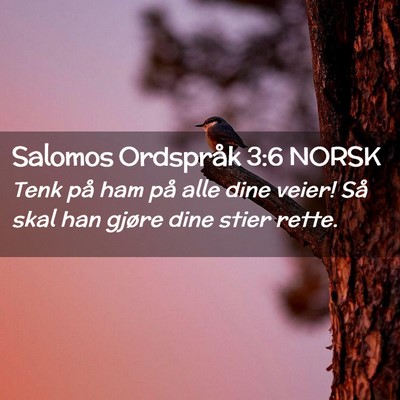 Picture 02 - Salomos Ordspråk 3:6 NORSK - Tenk på ham på alle dine veier! Så skal han - Bible Verse Picture