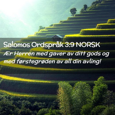 Picture 02 - Salomos Ordspråk 3:9 NORSK - Ær Herren med gaver av ditt gods og med - Bible Verse Picture