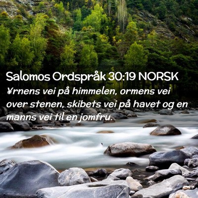 Picture 02 - Salomos Ordspråk 30:19 NORSK - ¥rnens vei på himmelen, ormens vei over stenen, - Bible Verse Picture