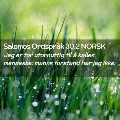 Picture 02 - Salomos Ordspråk 30:2 NORSK - Jeg er for ufornuftig til å kalles menneske; - Bible Verse Picture