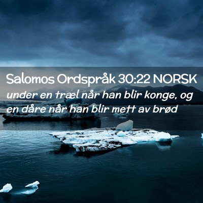 Picture 02 - Salomos Ordspråk 30:22 NORSK - under en træl når han blir konge, og en dåre - Bible Verse Picture
