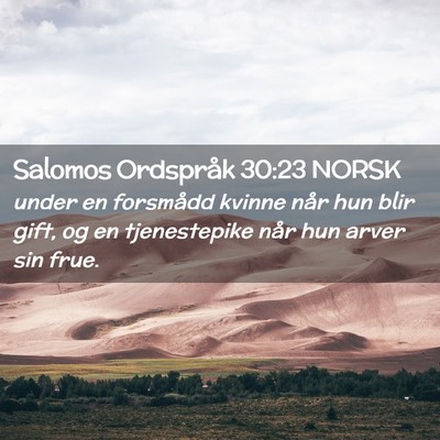 Picture 02 - Salomos Ordspråk 30:23 NORSK - under en forsmådd kvinne når hun blir gift, og - Bible Verse Picture