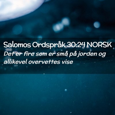 Picture 02 - Salomos Ordspråk 30:24 NORSK - Det er fire som er små på jorden og allikevel - Bible Verse Picture