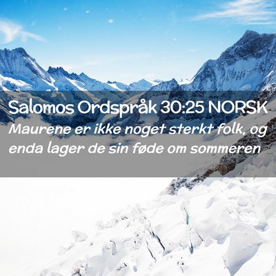 Picture 02 - Salomos Ordspråk 30:25 NORSK - Maurene er ikke noget sterkt folk, og enda lager - Bible Verse Picture