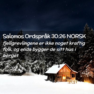 Picture 02 - Salomos Ordspråk 30:26 NORSK - fjellgrevlingene er ikke noget kraftig folk, og - Bible Verse Picture