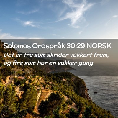 Picture 02 - Salomos Ordspråk 30:29 NORSK - Det er tre som skrider vakkert frem, og fire som - Bible Verse Picture