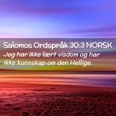 Picture 02 - Salomos Ordspråk 30:3 NORSK - Jeg har ikke lært visdom og har ikke kunnskap om - Bible Verse Picture