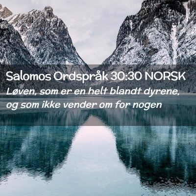 Picture 02 - Salomos Ordspråk 30:30 NORSK - Løven, som er en helt blandt dyrene, og som ikke - Bible Verse Picture