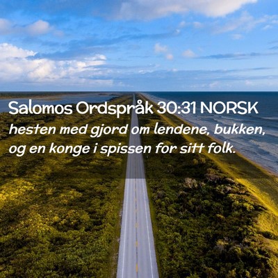 Picture 02 - Salomos Ordspråk 30:31 NORSK - hesten med gjord om lendene, bukken, og en konge - Bible Verse Picture