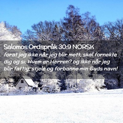 Picture 02 - Salomos Ordspråk 30:9 NORSK - forat jeg ikke når jeg blir mett, skal fornekte - Bible Verse Picture