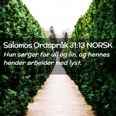 Picture 02 - Salomos Ordspråk 31:13 NORSK - Hun sørger for ull og lin, og hennes hender - Bible Verse Picture