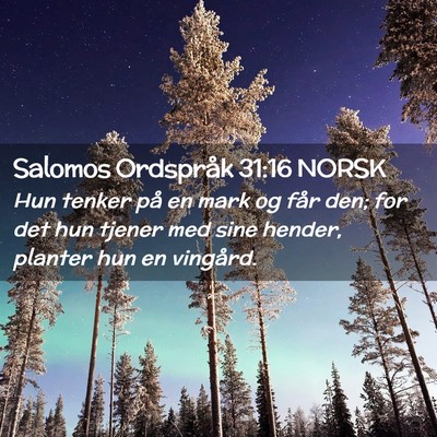 Picture 02 - Salomos Ordspråk 31:16 NORSK - Hun tenker på en mark og får den; for det hun - Bible Verse Picture
