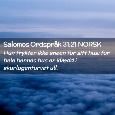 Picture 02 - Salomos Ordspråk 31:21 NORSK - Hun frykter ikke sneen for sitt hus; for hele - Bible Verse Picture